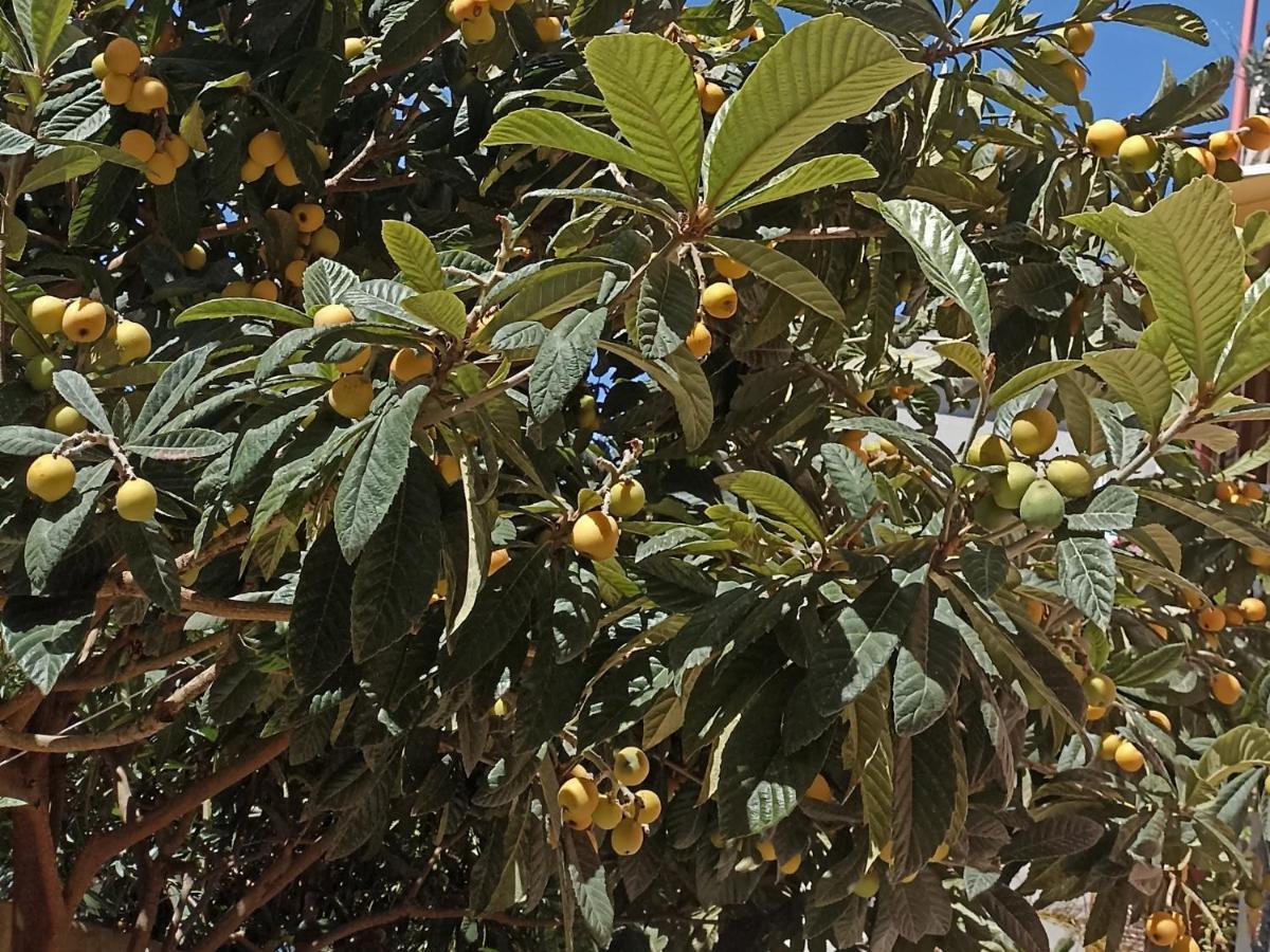 Appartamento Al Nespolo - Centro Storico Città di Lipari